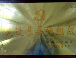 2009年先进党组织