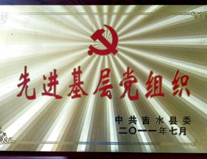 2011年先进党组织