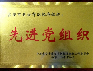 2013年先进党组织