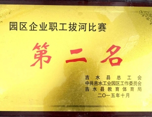 2015年县总工会拔河比赛