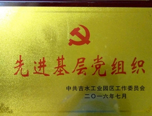 2016年先进党组织