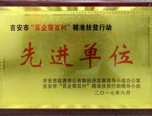 市级精准扶贫先进单位