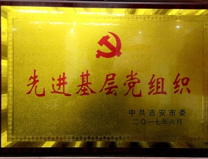 市级先进党组织-(1)