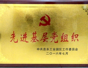 市级先进党组织-(2)