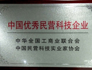 中国******民营企业